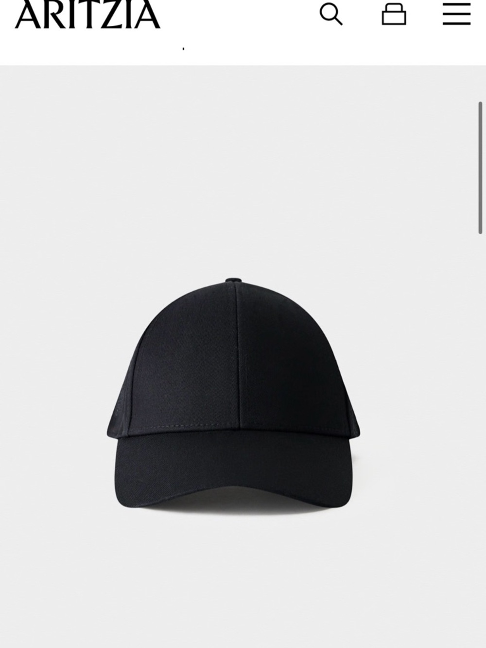 Aritzia Babaton Black Baseball Cap